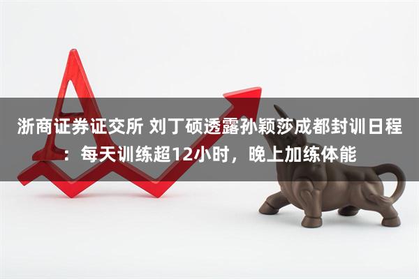 浙商证券证交所 刘丁硕透露孙颖莎成都封训日程：每天训练超12小时，晚上加练体能