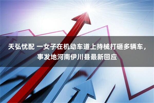 天弘忧配 一女子在机动车道上持械打砸多辆车，事发地河南伊川县最新回应