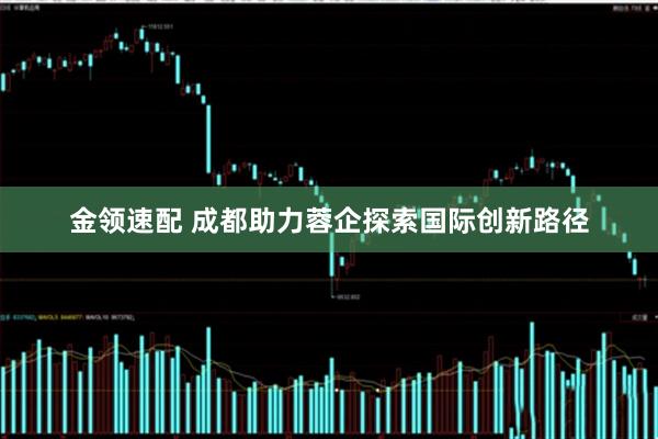 金领速配 成都助力蓉企探索国际创新路径
