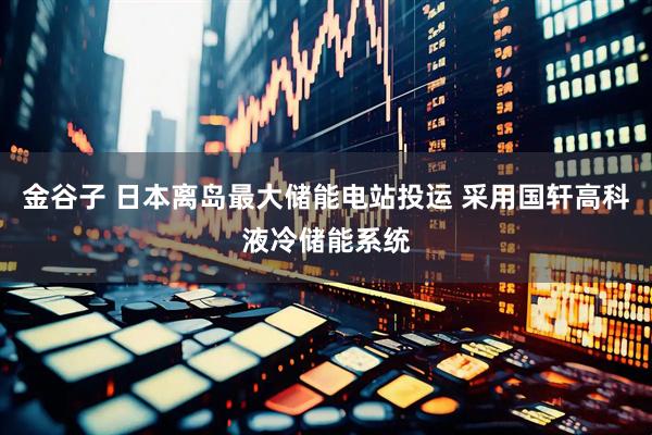 金谷子 日本离岛最大储能电站投运 采用国轩高科液冷储能系统