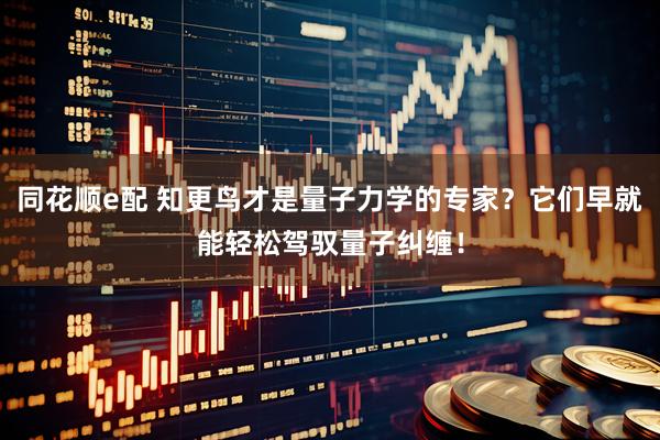 同花顺e配 知更鸟才是量子力学的专家？它们早就能轻松驾驭量子纠缠！