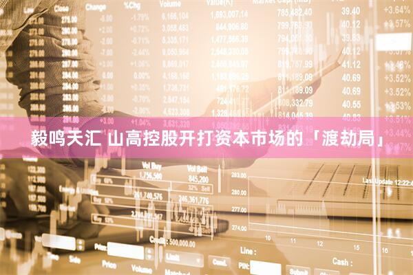 毅鸣天汇 山高控股开打资本市场的「渡劫局」