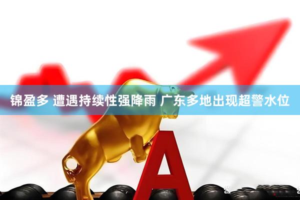 锦盈多 遭遇持续性强降雨 广东多地出现超警水位