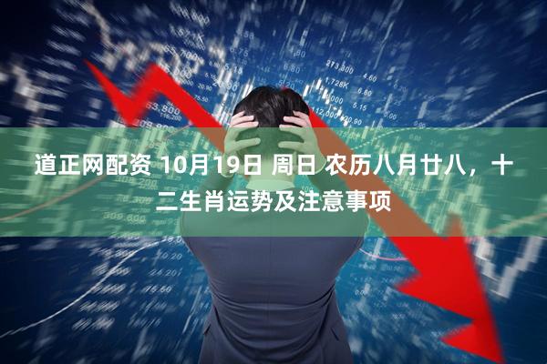 道正网配资 10月19日 周日 农历八月廿八，十二生肖运势及注意事项