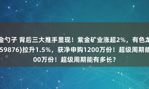 金勺子 背后三大推手显现!紫金矿业涨超2%,有色龙头ETF(159876)拉升1.5%,获净申购1200万份!超级周期能有多长?