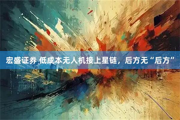 宏盛证券 低成本无人机接上星链，后方无“后方”